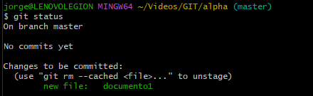 git_add_document1.png