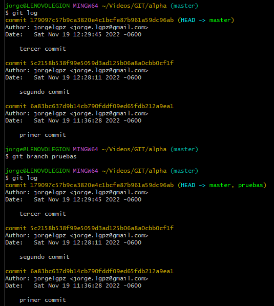 git_branch_pruebas.png