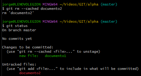 git_rm.png